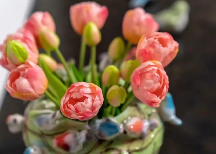 Boardinghouse Burgpark 2* Hürth